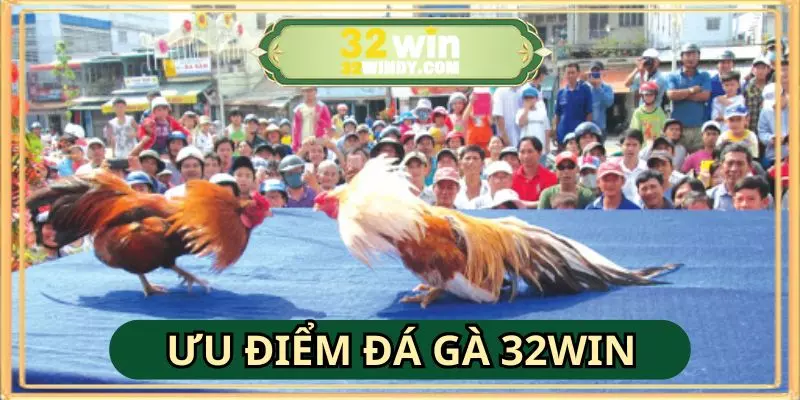 Những điểm nổi bật tại đá gà 32WIN được nhiều người ưa chuộng